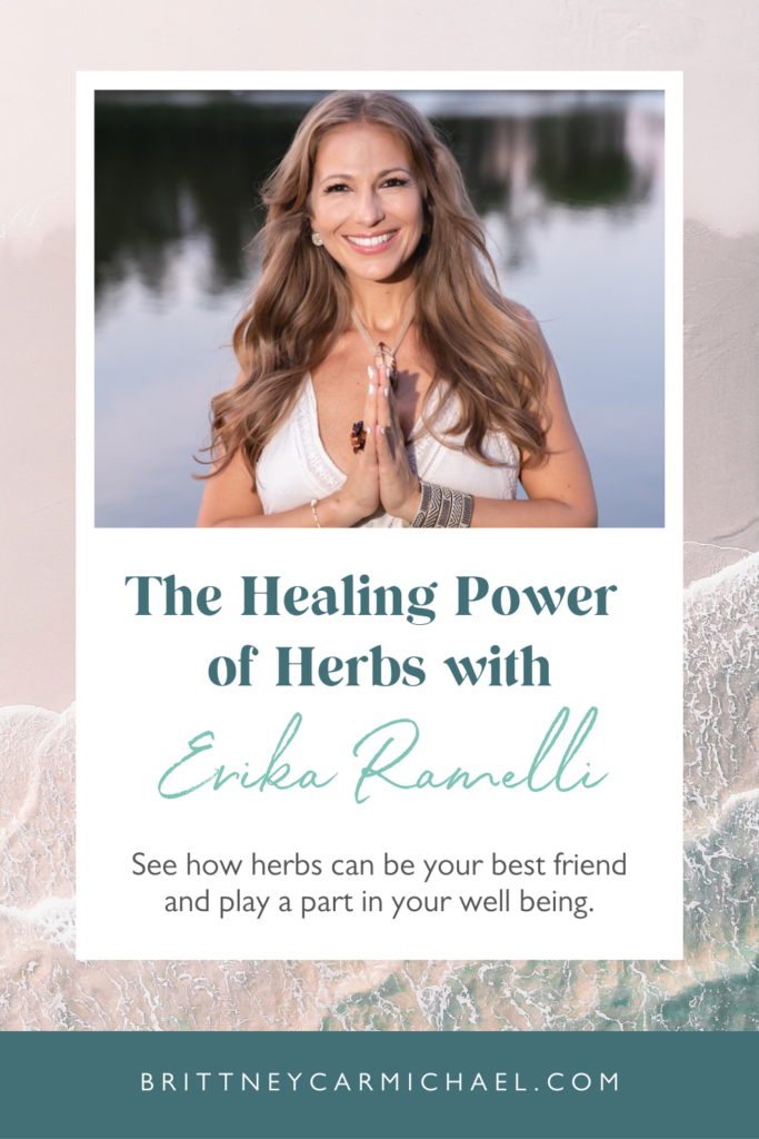 In this episode of The Elevated Life, we're sharing "The Healing Power of Herbs with Erika Ramelli" so you can see how herbs can be your best friend and play a part in your well being. If you want to learn more about how to incorporate herbal remedies into your busy schedule, then you'll love this episode!